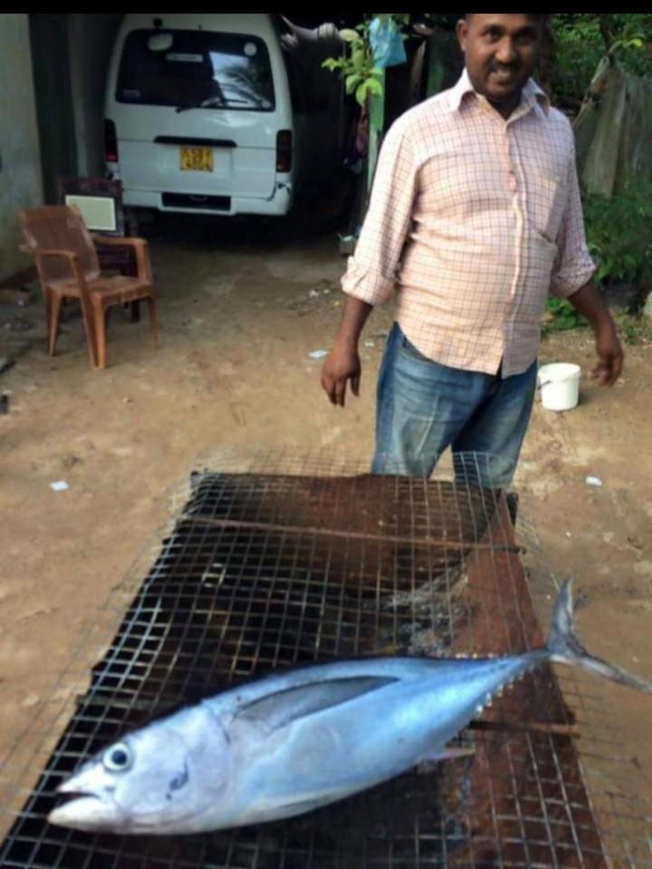 Sandaru Surffing Inn Weligama Kültér fotó