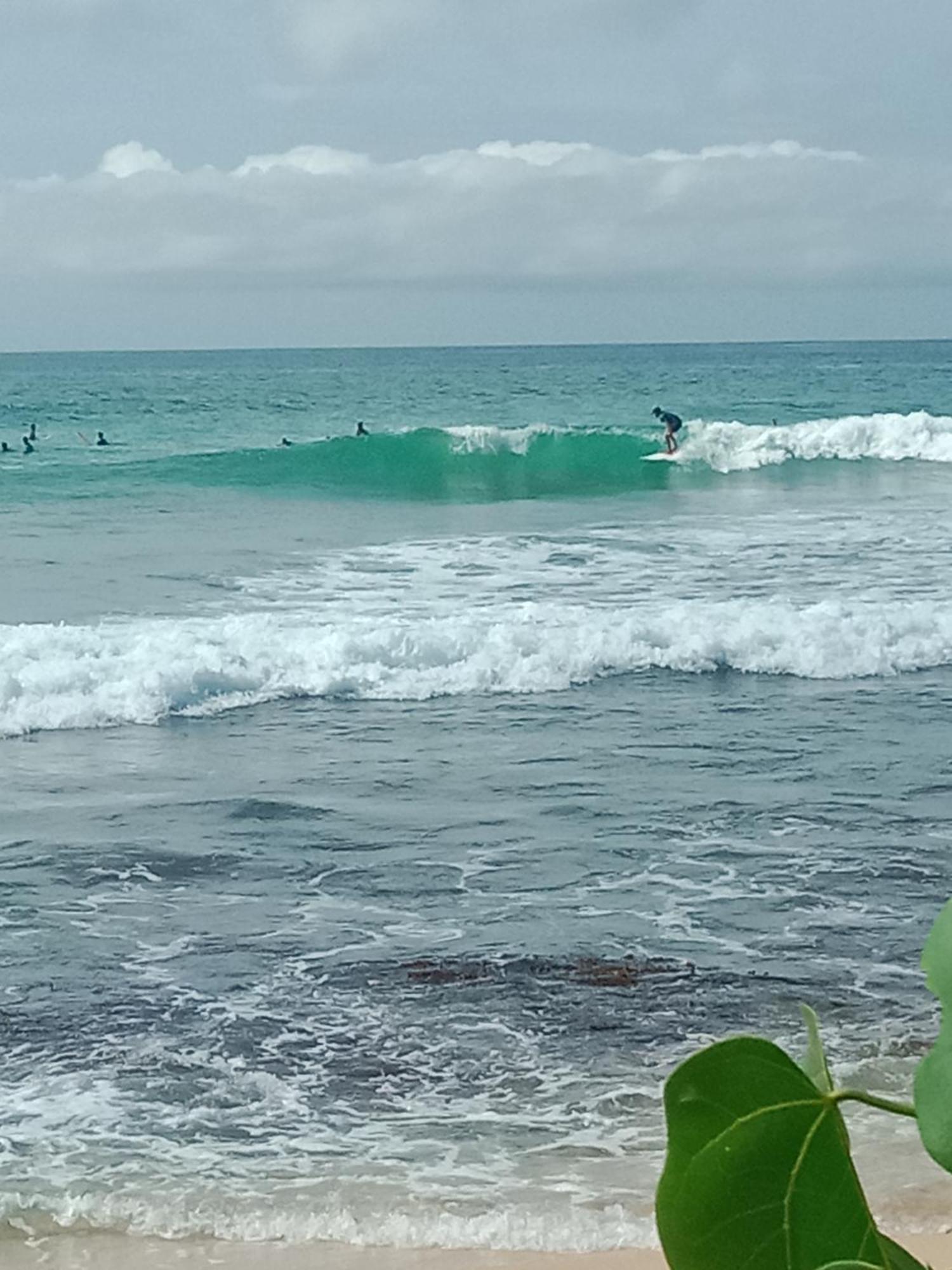 Sandaru Surffing Inn Weligama Kültér fotó