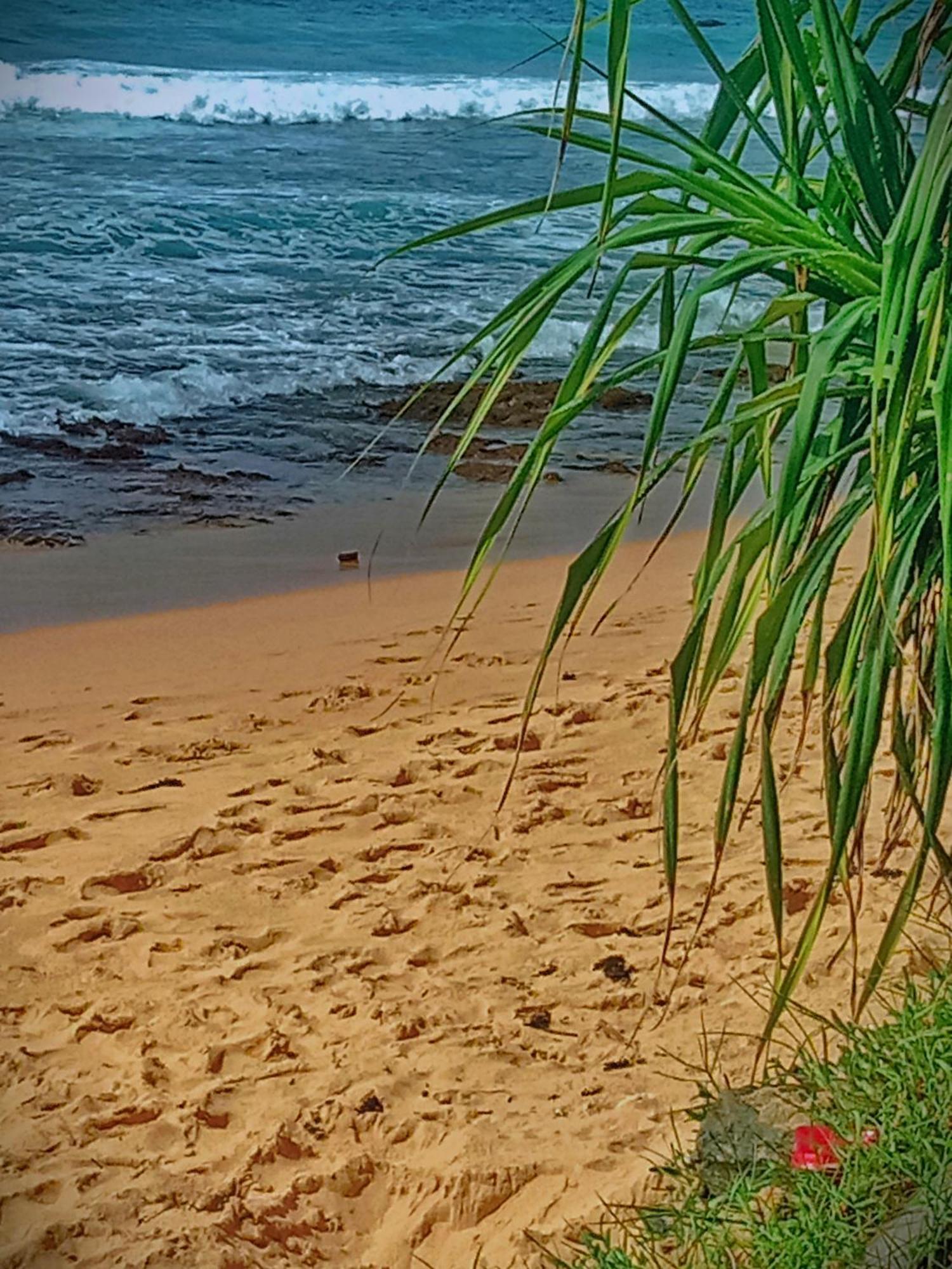 Sandaru Surffing Inn Weligama Kültér fotó